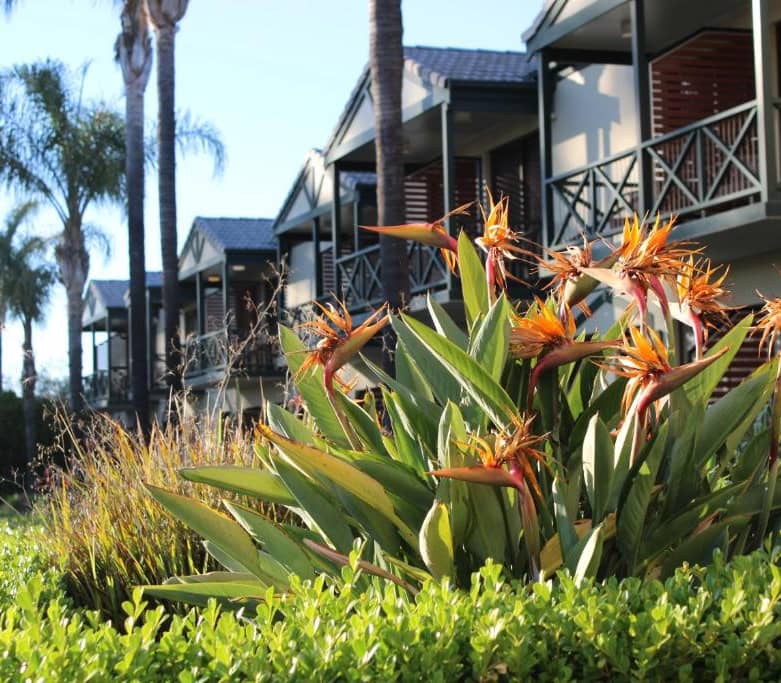 Contemporary hotel suite interior at Hotel Renmark featuring a plush bed, lounge area, and neutral decor in the Riverland region.