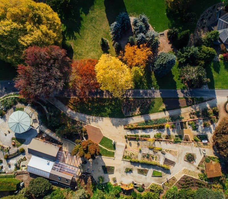 Aerial shot of Royal Tasmanian Botanical Gardens with autumn trees, pathways, and garden structures.