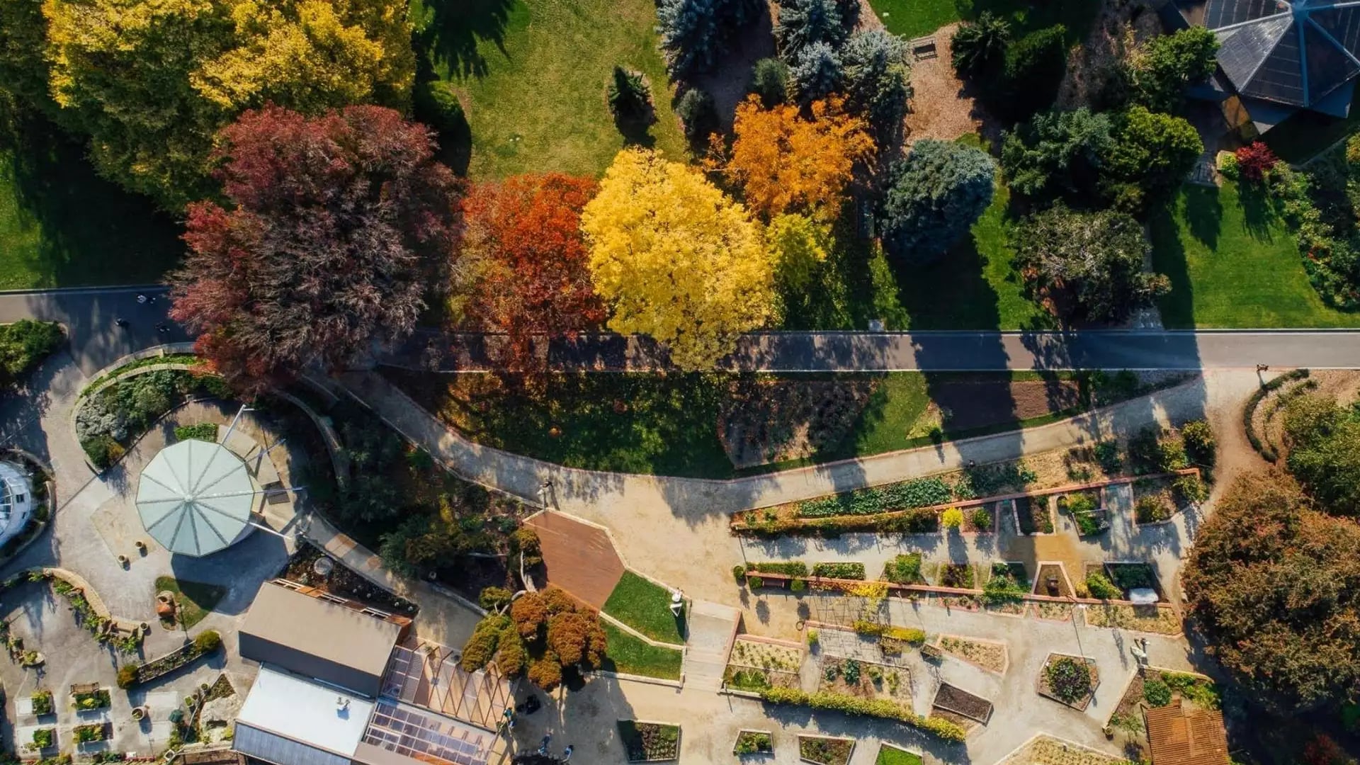 Aerial shot of Royal Tasmanian Botanical Gardens with autumn trees, pathways, and garden structures.