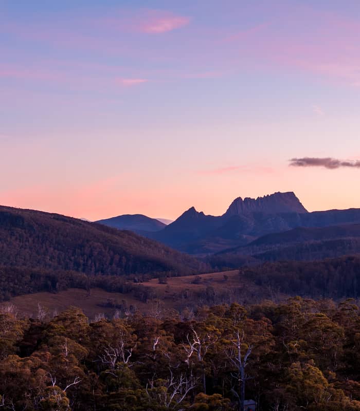 A wide landscape panorama of the Cradle Mountain-Lake St Clair National Park at sunset, featuring the jagged silhouette of Cradle Mountain against a soft pink and purple sky, with a foreground of dense native eucalypt forest and rolling alpine hills.