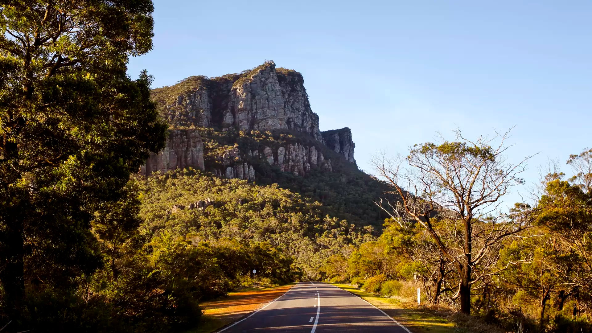 A long, straight asphalt road disappears into a dense green forest toward a massive, sheer-faced mountain peak under a bright, clear blue sky in The Grampians National Park.