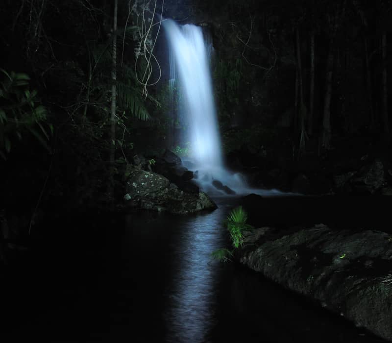 A lit waterfall at night flowing into a dark pond surrounded by dense rainforest foliage.