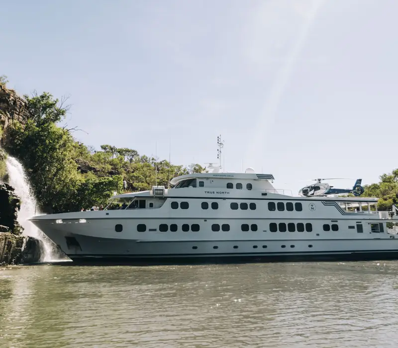An aerial high-angle shot of a white luxury cruise ship in a dark green river gorge, positioned directly in front of two massive, side-by-side waterfalls cascading down towering red sandstone cliffs.