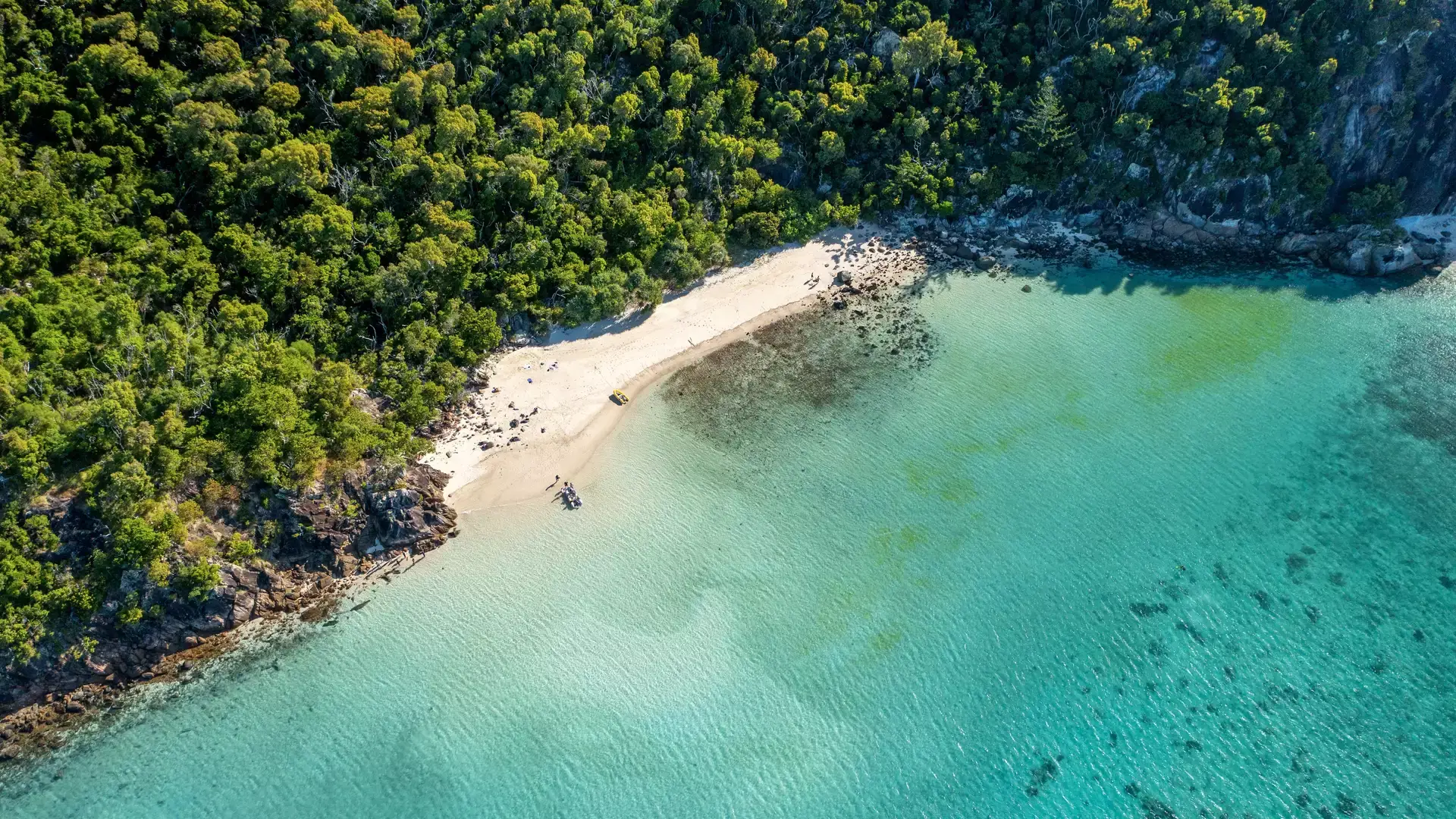 Looking straight down at a pristine white sand beach on a Whitsunday Island, where a small boat is pulled up to the shore near a dense, green tropical forest.